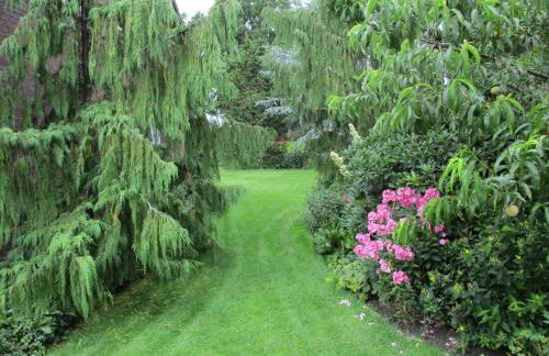 FeWo Trientje - Foto 36