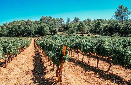 Unique historical home, middle of the village, bath & patio - Foto 62