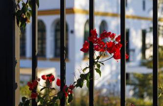 Finca las Pecas - Foto 6