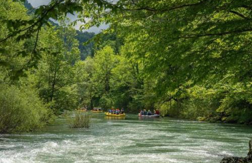 Tranquil Holiday Home in Kvarner near Kupa River - Foto 88