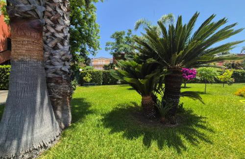 Orchidea Bianca - Foto 50