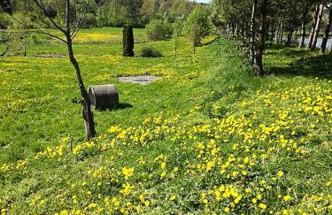 Zacisze Nad Stawami - Foto 37