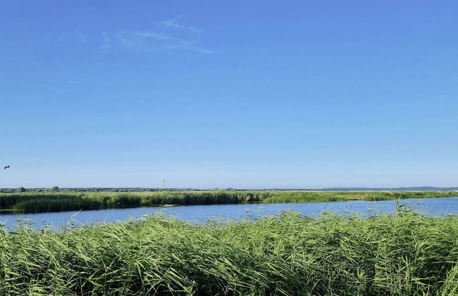 Quiet Apartment With Garden by Renters - Foto 42