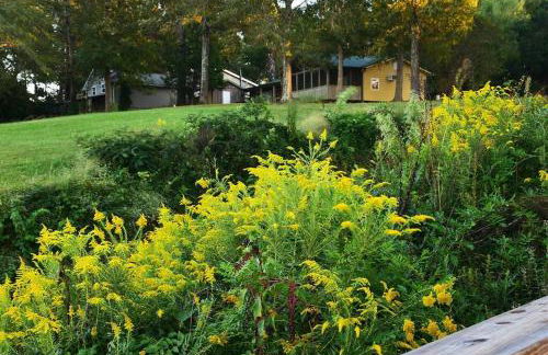 Cozy lakefront cabin with boat house and ramp on T - Foto 21