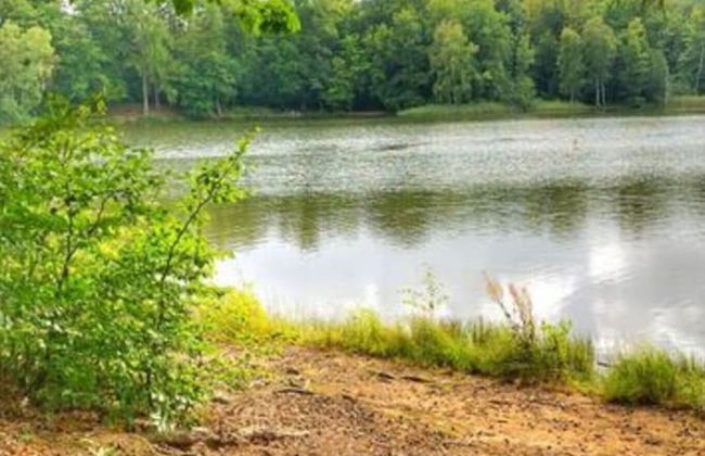 Classy Apartment in Bad Sachsa - Foto 24