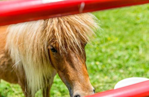 Quail Run Farm Pool Home - Foto 37