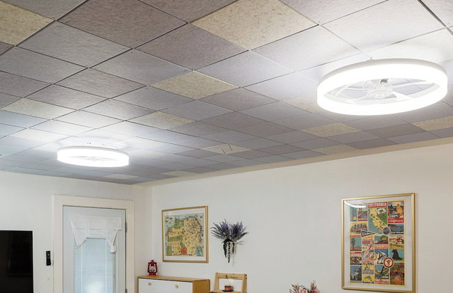 Coast PalmTree Yard 2BR Block from Beach - Photo 41