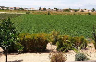 Comporta House - Foto 42