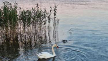 Il Campo sul Lago 1 - Foto 5