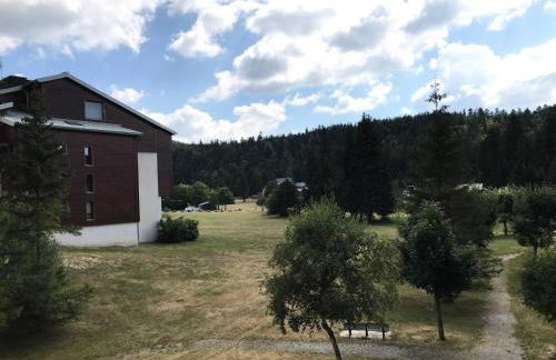 Résidence Herbouilly - Très joli deux pièces rénové pied des pistes MAE-3964 - Foto 15