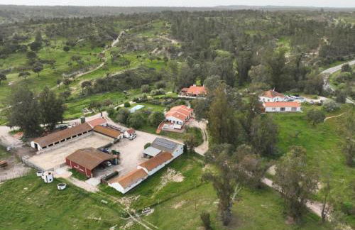 Monte Do Areeiro - Foto 1