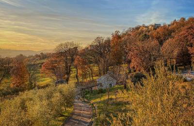 Tenuta Santojanni - Irpinia - Foto 65
