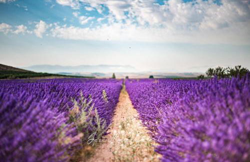 RaíZes 22 - Apartamento 1 - Foto 34
