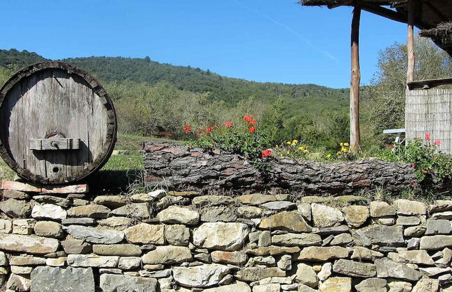 Granaio in Chianti - Foto 12