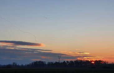 Silence Villa - Foto 30