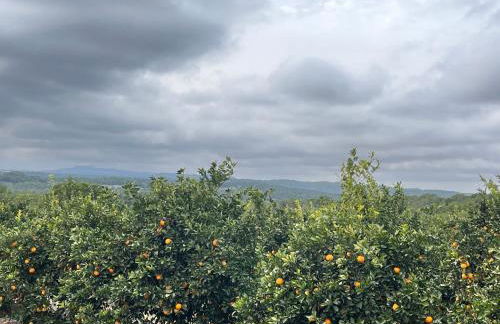 Villamartin apartment. Excellent location for Golfers, Cyclists and Hikers - Foto 47