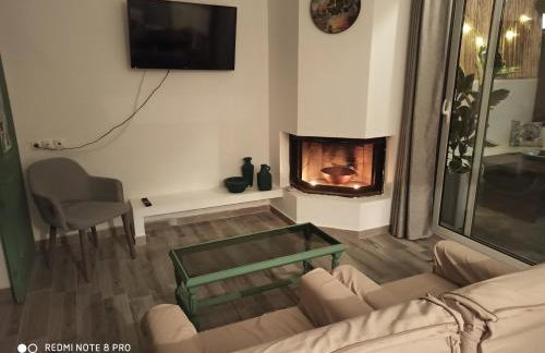 Cactus Home - Foto 3