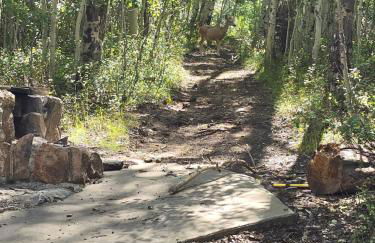 Camp Jackson Host Cabin - Foto 13