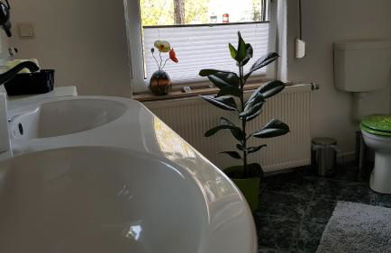 Ferienwohnung-Kormann - Foto 16