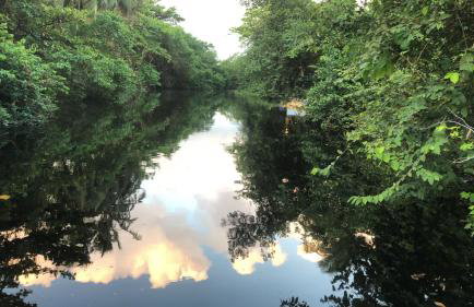 Casa Conchas - Aluguel por Temporada Barra de São Miguel - Foto 43