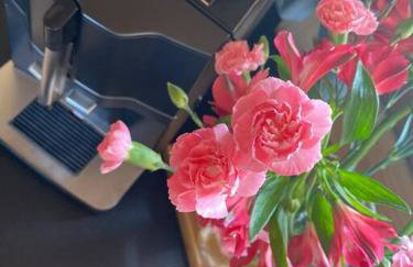 Little House - Foto 20