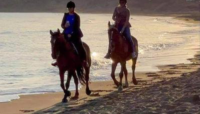 Amnisiades Apartments - Foto 5