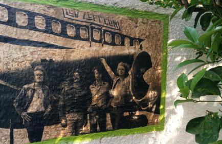 Zagara di Sicilia - Foto 110