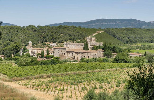 La Masieta Tarragona - Foto 15