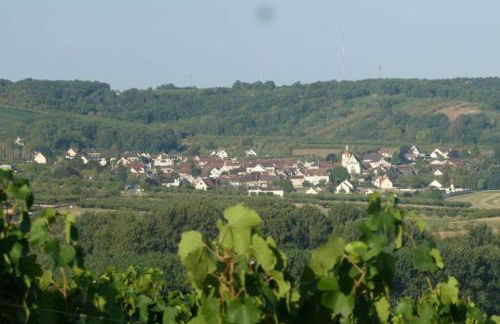 Gîte Château de Montboulon 4* Spa+piscine 14pers. - Foto 36