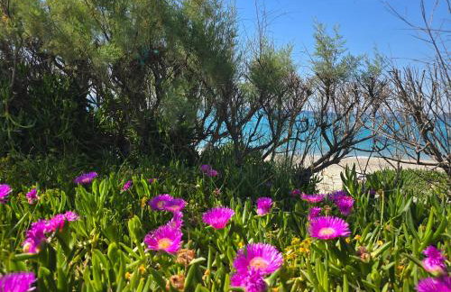 Athenas Vila - Foto 56