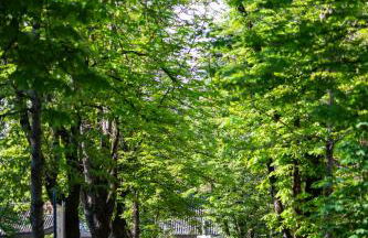 La Dimora dei Tigli - Foto 15