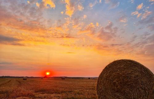 SZUMI ROSA - Foto 73