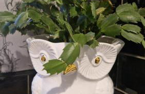 175 On Clyde - Spacious & Cosy Cedar Wood Bungalow - Foto 21