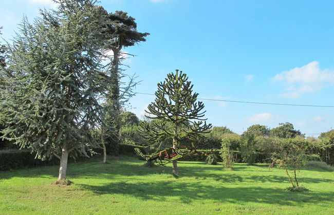 Les Mésanges - Foto 17