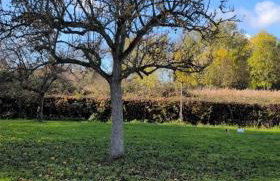 Tranquil Countryside Cottage near Loughborough - Foto 47