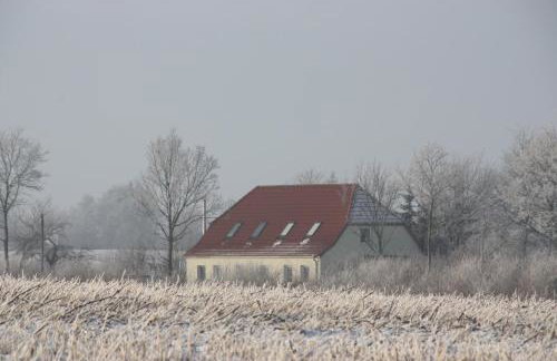 Land & Meer - Foto 19