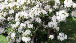 Ferienwohnung Heidi - Foto 3