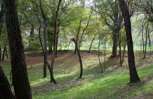 Agriturismo Biologico Villa Rosa - Photo 45