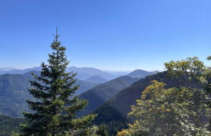 Villa am Goldbach - Foto 10