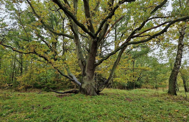 Beachfront Bliss - By Traum Ferienwohnungen - Foto 6