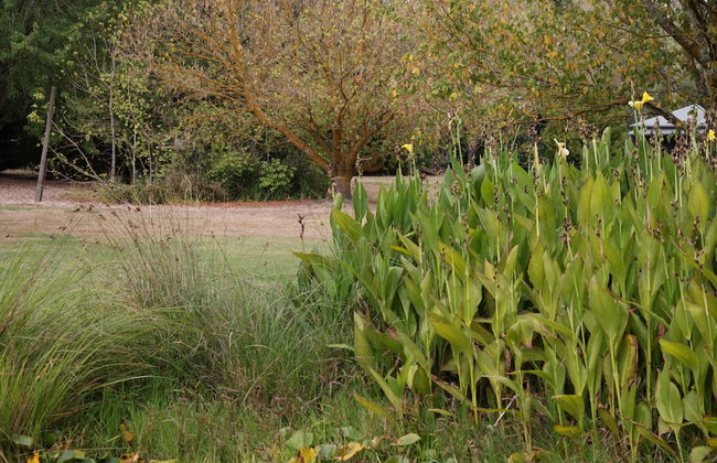 StayAU 1BR Rustic Picturesque Cottage - Foto 32