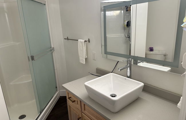 LUXURY DOWNTOWN CONDO TWO BEDROOM - Photo 20