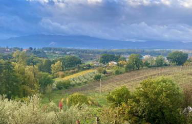 Donna Vittori - Borgo Agricolo - Foto 63