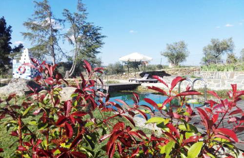 Bela Vista Silo Housing - Foto 19