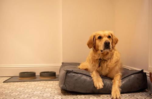 The Stylish 3-Bedroom Maisonette Retreat - Photo 22