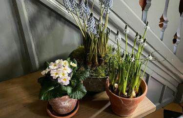 Baroque Half-Timbered House In Königsberg - Foto 12