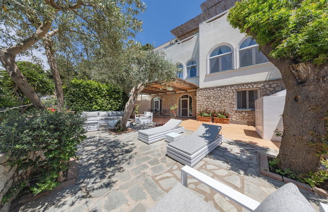 Oliveto Capri - Foto 59