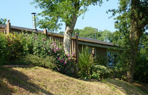 The Goyle-E4528 - Foto 19