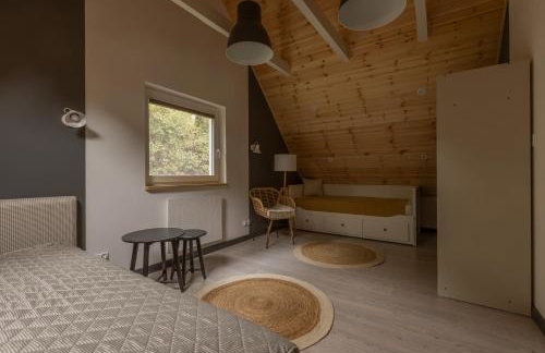 Czarny Dzięcioł - Foto 20