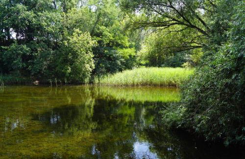 Ferienwohnung Rehagen Süd - Photo 10